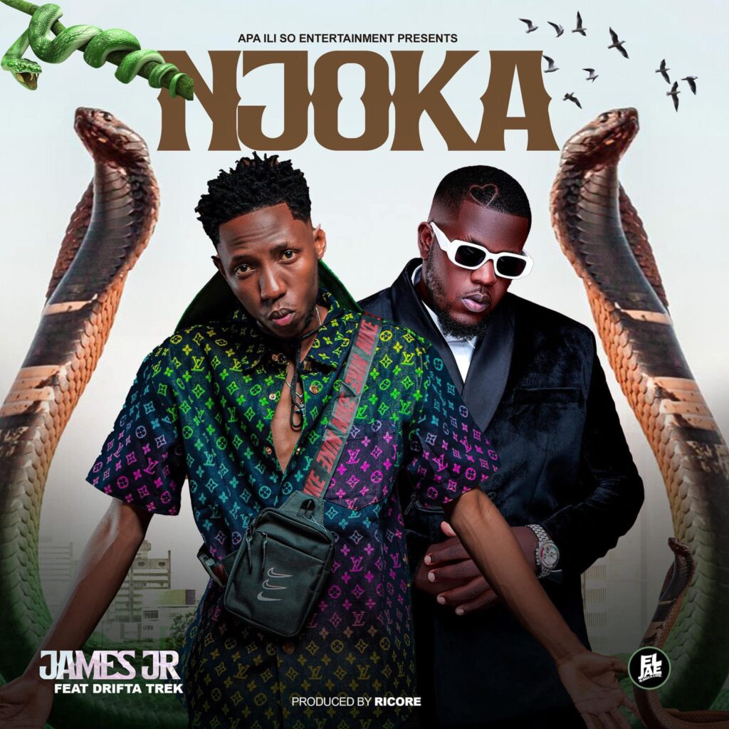 James Jr Ft Drifta Trek - Njoka Mp3 Download