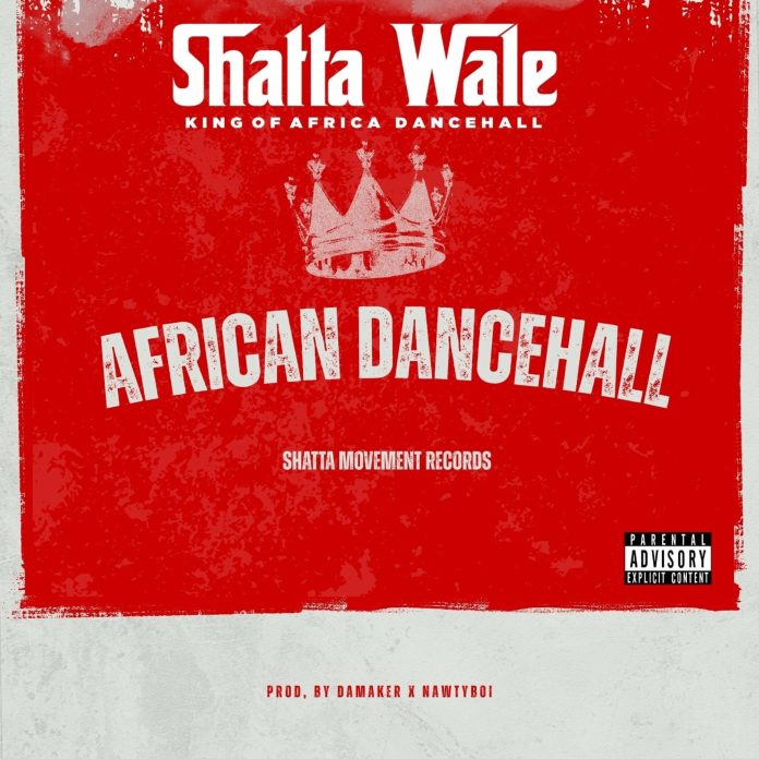 Shatta Wale - African Dancehall