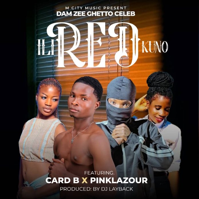 Dam Zee ft. Card B x Pinklazour - ili red kuno Mp3 Download