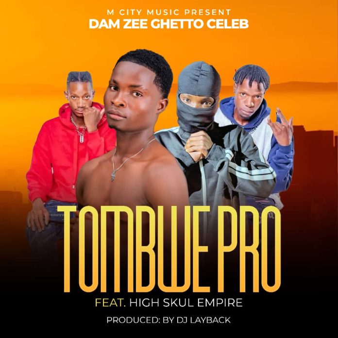 Dam Zee ft. High Skul Empire - Tombwe Pro Mp3 Download