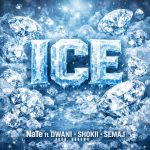 NaTe ft Dwani, Shokii & Semaj - Ice