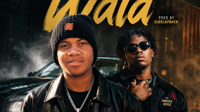 Chezhen trooper x DM Dee rose - Wala Mp3 Download