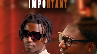Jamgo James ft Bolokiyo - Important Mp3 Download